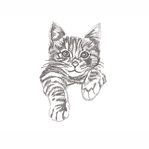 Cats embroidery designs