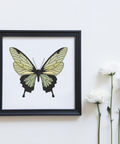 Butterfly, machine embroidery design