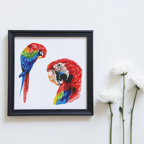 Parrots - Hoop&Stitch