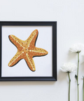 Sea star, machine embroidery design